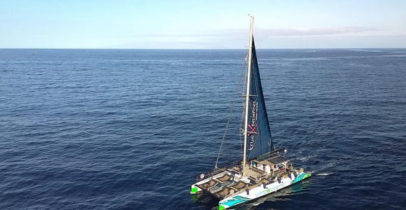 Boat trip off the coast of Costa Adeje