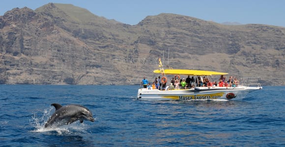 Boat trip along the cliffs of Los Gigantes